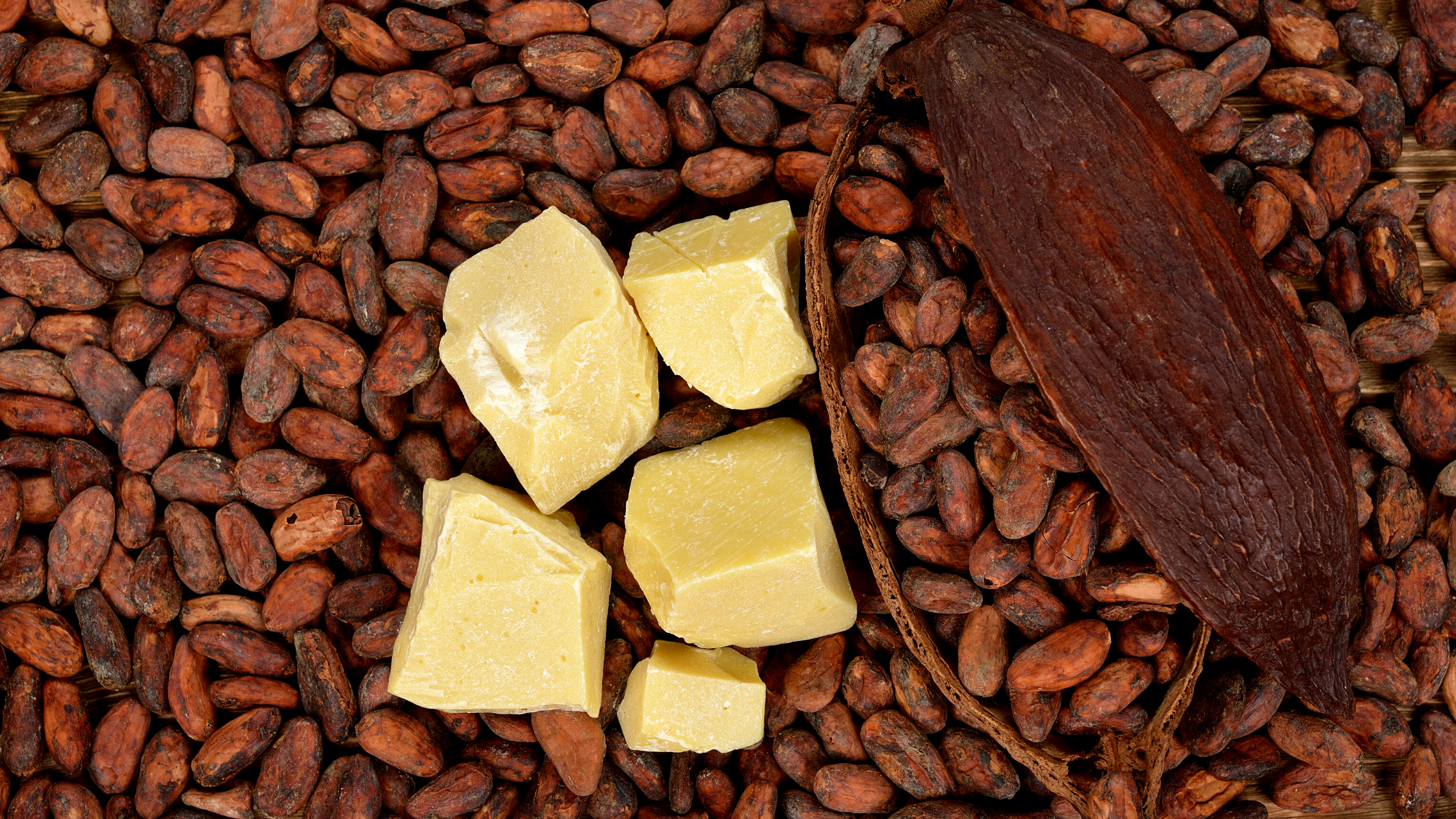What Is Cacao Butter And Why Is It So Popular?